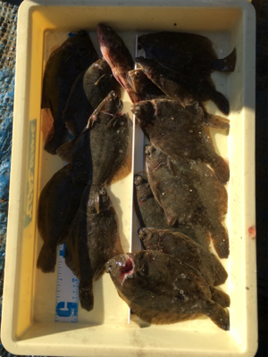 最後の釣行かな！