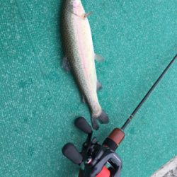 服部緑地プールで釣れた