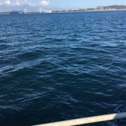 メガフロートデビュー