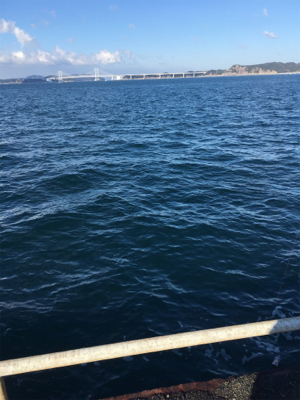 メガフロートデビュー