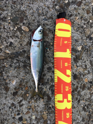 下手クソすぎる…