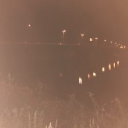 今年の初フィッシュ！