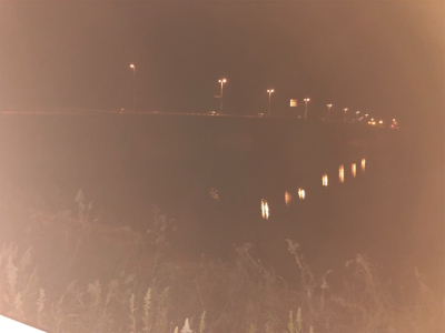 今年の初フィッシュ！