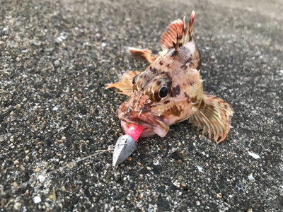 サイズが・・・