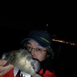 ドシャローにまさかのええメバル