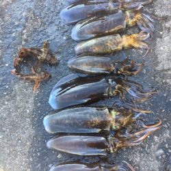 またまた。。。。