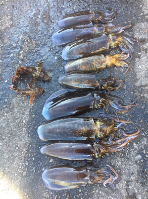 またまた。。。。