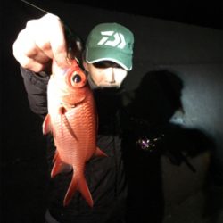 釣りの聖地鵜来島遠征釣行