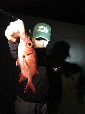 釣りの聖地鵜来島遠征釣行