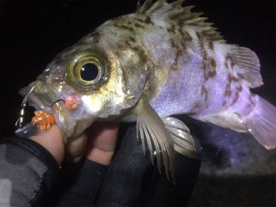 ナイトメバリング