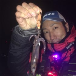 ヒイカは何処に?