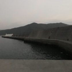 小エビとパワーイソメ