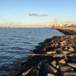 淀川ブリームゲーム 初釣り