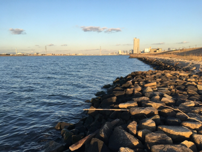 淀川ブリームゲーム 初釣り