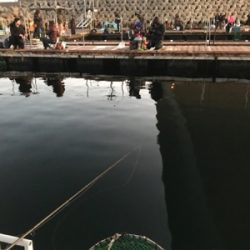 今年初釣りは釣堀