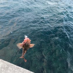 早朝ガシリング