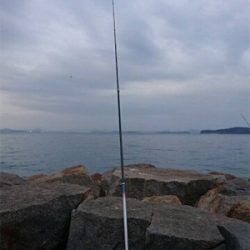 カレイを求めて