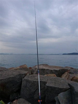 カレイを求めて