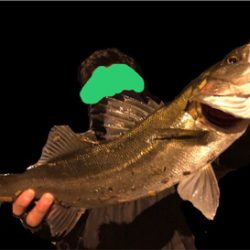 ついにアミパターン攻略