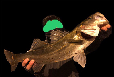 ついにアミパターン攻略