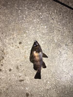 当たりも少ない