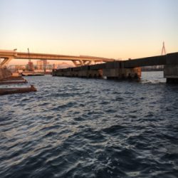 2019年 初シーバスゲット！