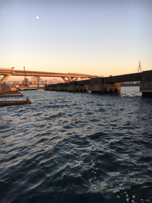 2019年 初シーバスゲット！