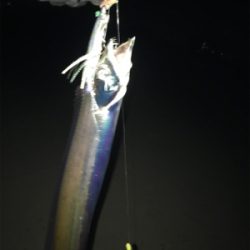 居ったら釣れます!