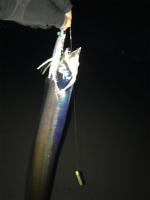 居ったら釣れます!