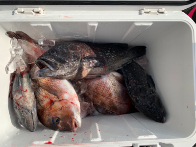 爆風の中なんとか