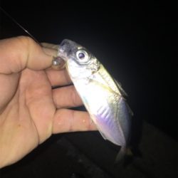 ナイトメバリング