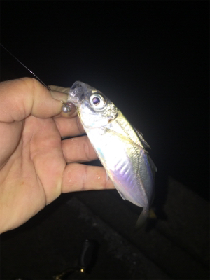 ナイトメバリング