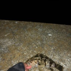 尺を求めて( ̄∀ ̄)