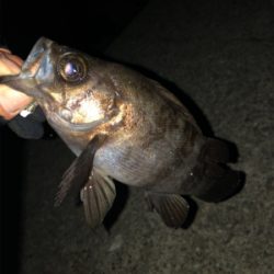 なんとか、、、