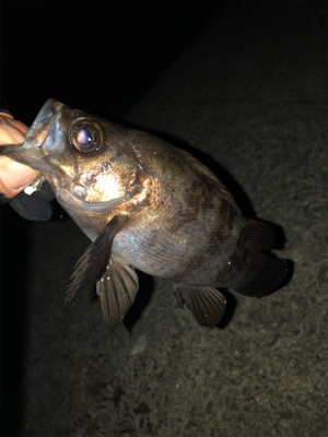 なんとか、、、