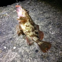 ジグヘッドでエサ釣り