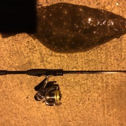 久々のアジと嬉しい外道