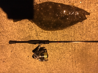 久々のアジと嬉しい外道