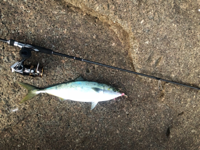 学校前ライトソルト