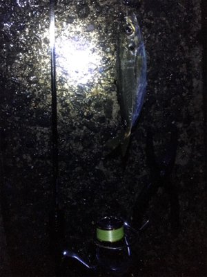 アジングゲーム