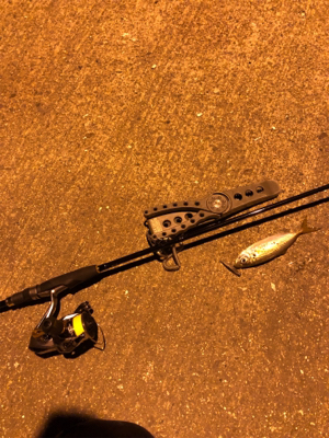 ナイトアジング