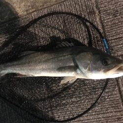 マルチヒットにロスト地獄