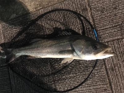 マルチヒットにロスト地獄