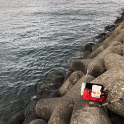 フカセ釣りでチヌ！