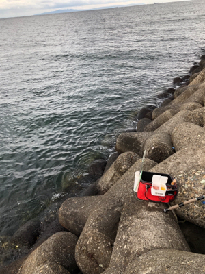 フカセ釣りでチヌ！