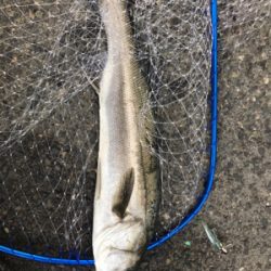 ナイスファイター!