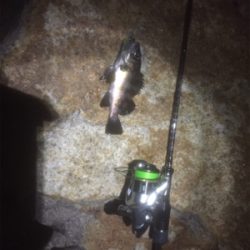 4時間耐久メバリング