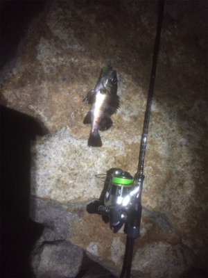 4時間耐久メバリング