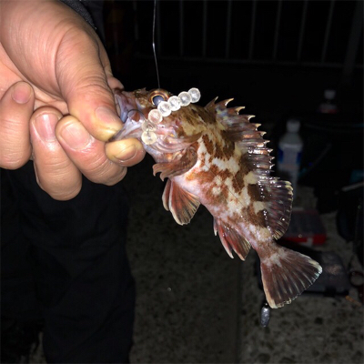 自作ワームで夜釣り！！