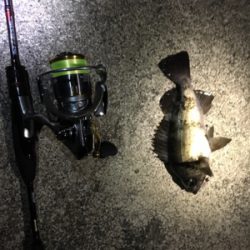 メバリングゲーム